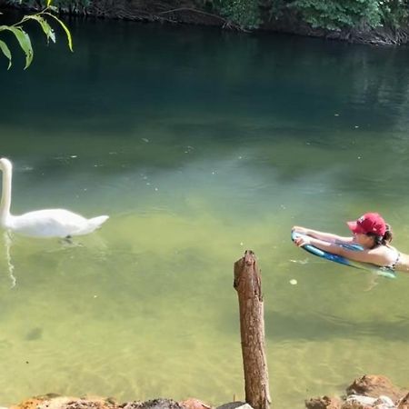 Gite De Vacances Jardin Monet Giverny Vernon Sainte-Genevieve-les-Gasny 外观 照片
