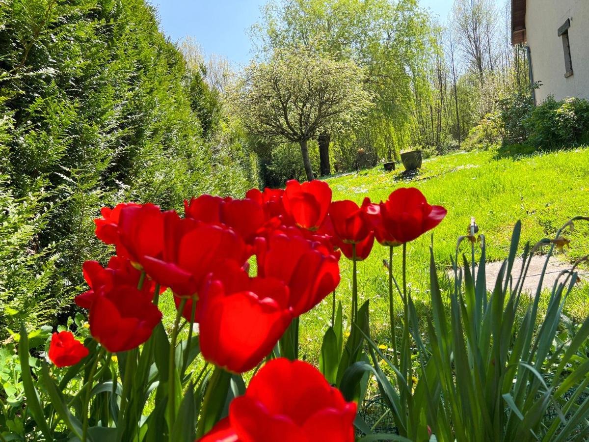 Gite De Vacances Jardin Monet Giverny Vernon Sainte-Genevieve-les-Gasny 外观 照片